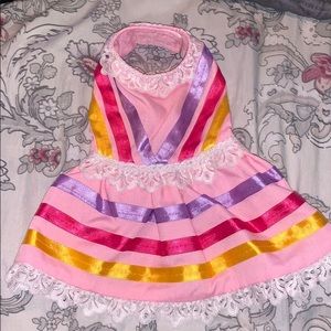 Mexican style dog dress.